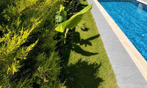 Villa Atlas Vip — 26