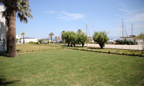 Apart Vg 256 — 24