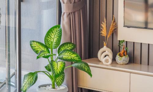Villa Atılgan Deluxe — 52