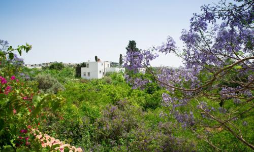 Villa Garden 468 — 21