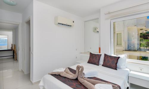Villa Muz — 25