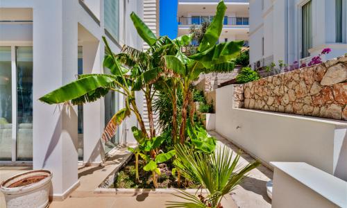 Villa Muz — 40