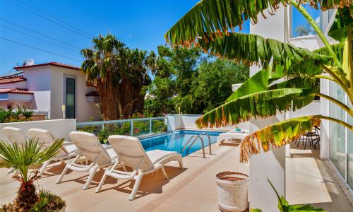Villa Muz — 41