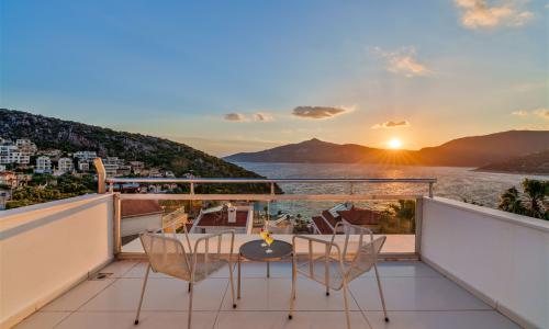 Villa Muz — 19
