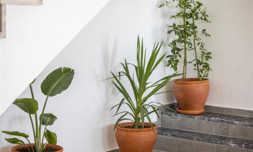 Villa Larmina — 38
