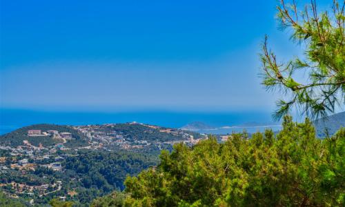 Villa Elvin — 25