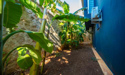 Villa Everest — 15