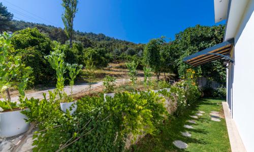 Villa İmge — 31