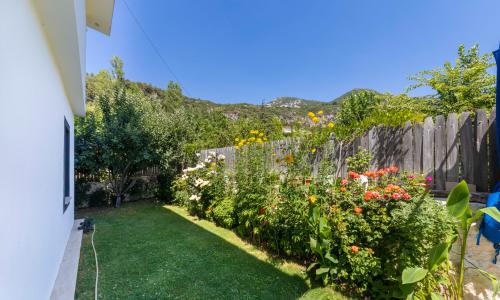 Villa İmge — 24