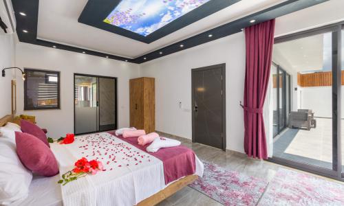 Villa Cika 5 — 48