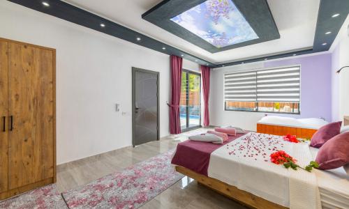 Villa Cika 5 — 49