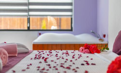 Villa Cika 5 — 55