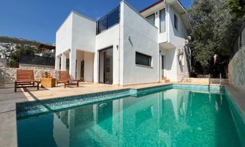 Villa Vector House