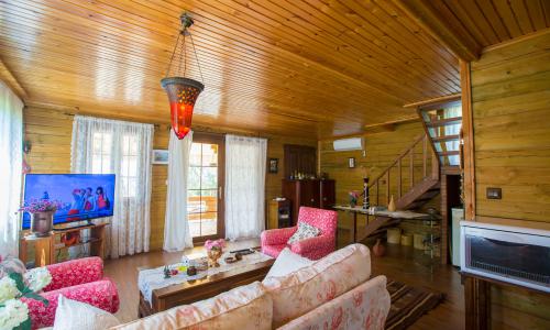 Villa Zeytin Evi — 12