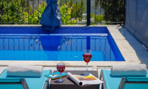 Villa Platin — 10