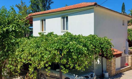 Villa Simay 1 — 6