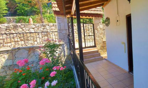 Villa Simay 1 — 7