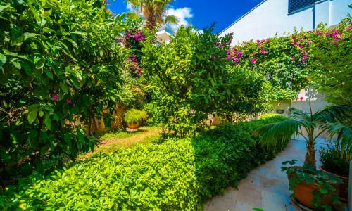 Villa Melisa 1 — 33