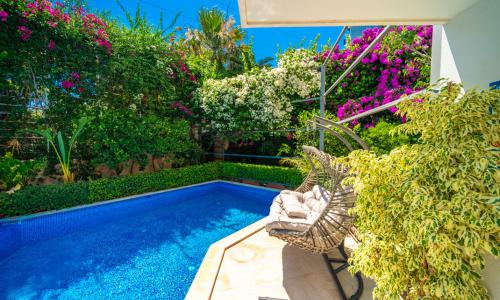 Villa Melisa 1 — 19