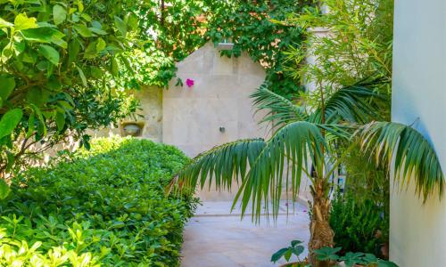 Villa Melisa 1 — 35