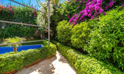 Villa Melisa 1 — 48