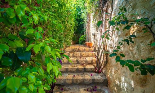 Villa Melisa 1 — 49