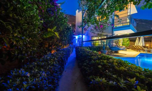 Villa Melisa 1 — 51