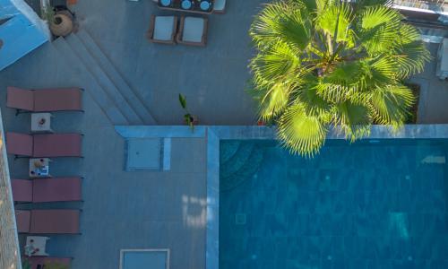 Villa Orange — 14