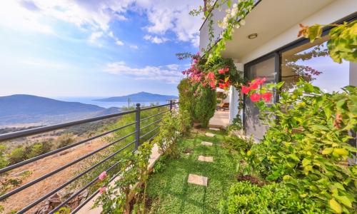 Villa Sıla Ordu — 13