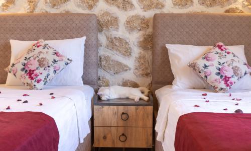 Villa Agarta Sarıbelen — 50