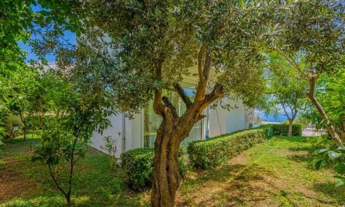 Villa Al Nuzha — 30