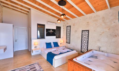 Villa Alaca — 13