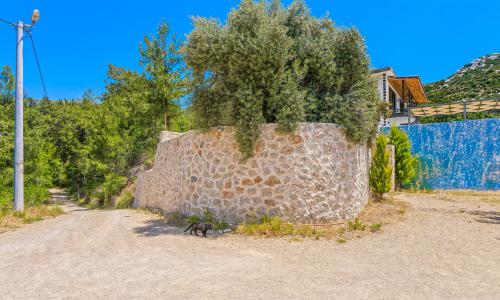 Villa Alara — 46