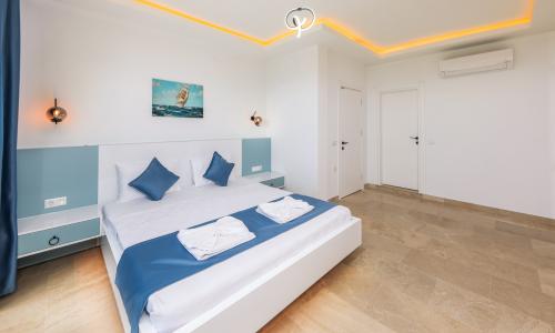 Villa Albedo Blue — 36
