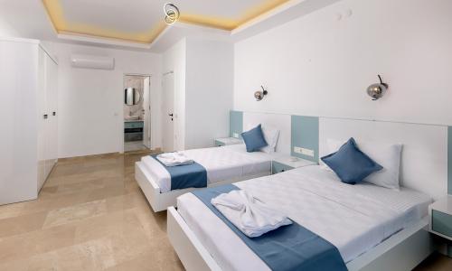 Villa Albedo Blue — 49