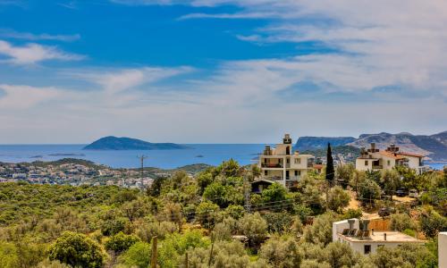 Villa Albedo Blue — 19