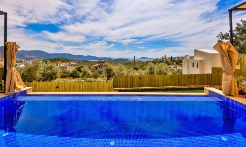 Villa Albedo Blue — 17