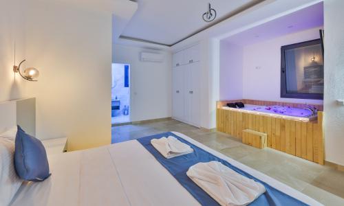 Villa Albedo Blue — 38