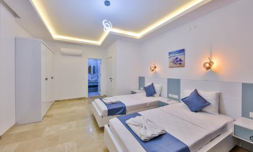 Villa Albedo Blue — 48
