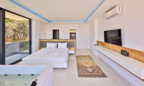 Villa Ali İhsan — 25