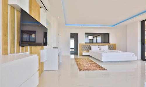 Villa Ali İhsan — 47