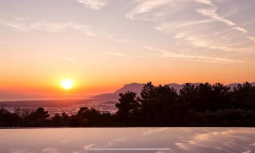 Villa Alvin — 15
