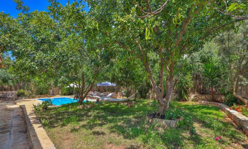 Villa Amarillo Kaş — 47