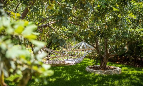 Villa Amarillo Kaş — 23