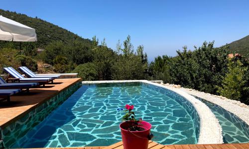 Villa Ambar Fıstık — 3