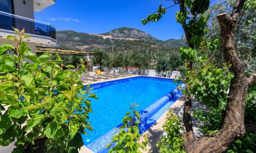 Villa Aristo — 4