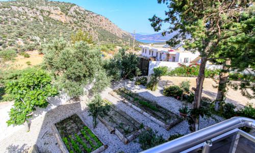 Villa Aristo — 46