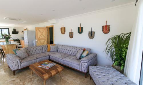 Villa Aristo — 50