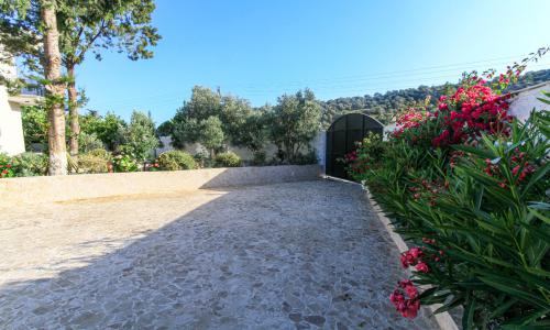 Villa Aristo — 8