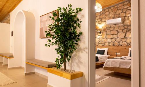 Villa Ark — 41